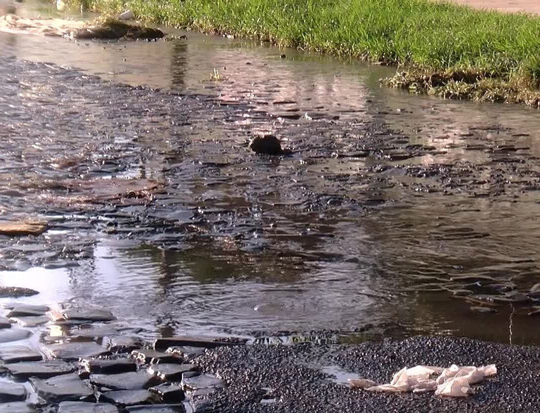 Vecinos de Paraísos del Colli, en Zapopan, Reportan Fuga de Aguas Negras