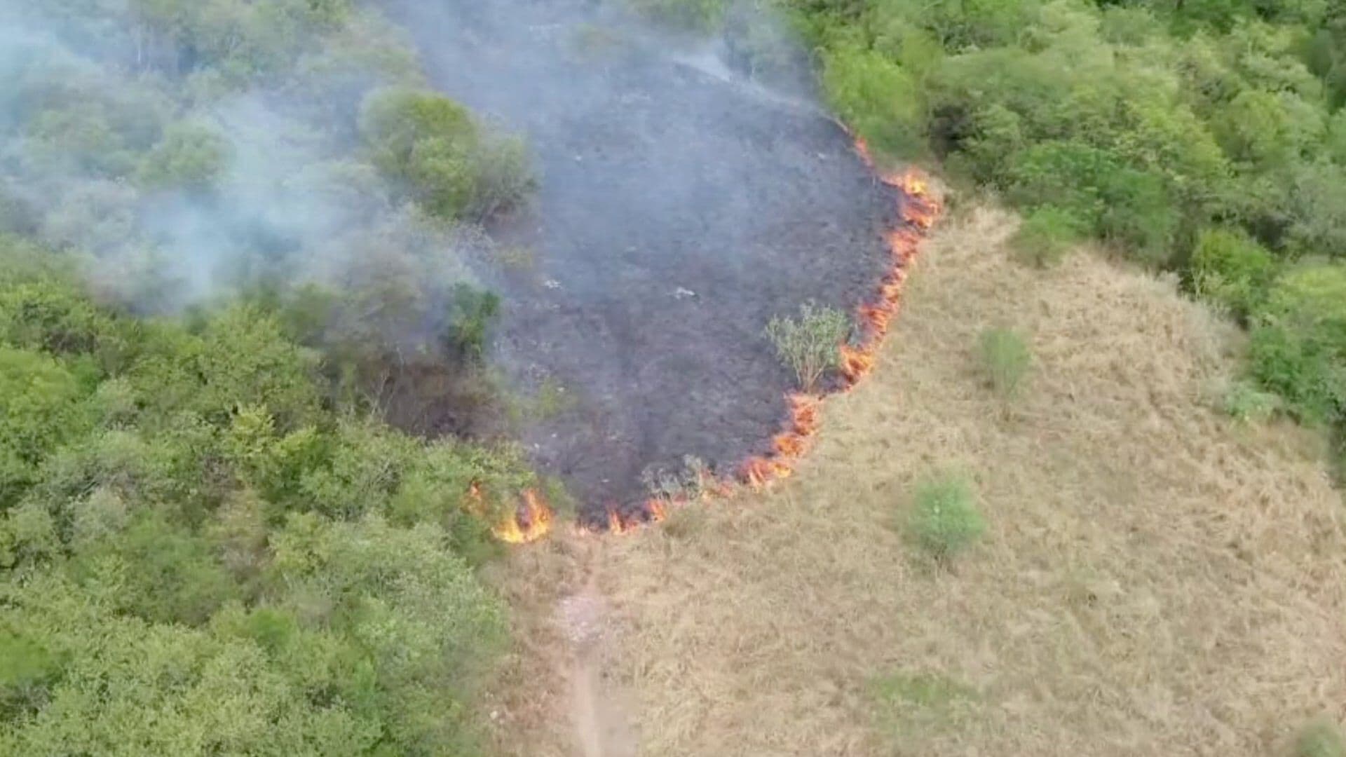 Combaten Incendio Forestal en Fraccionamiento Vistancia en Monterrey
