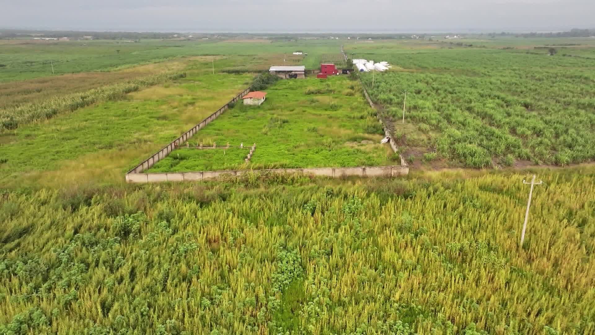 Autoridades Acuden por Algunas Horas al Rancho Izaguirre en Teuchitlán, Jalisco