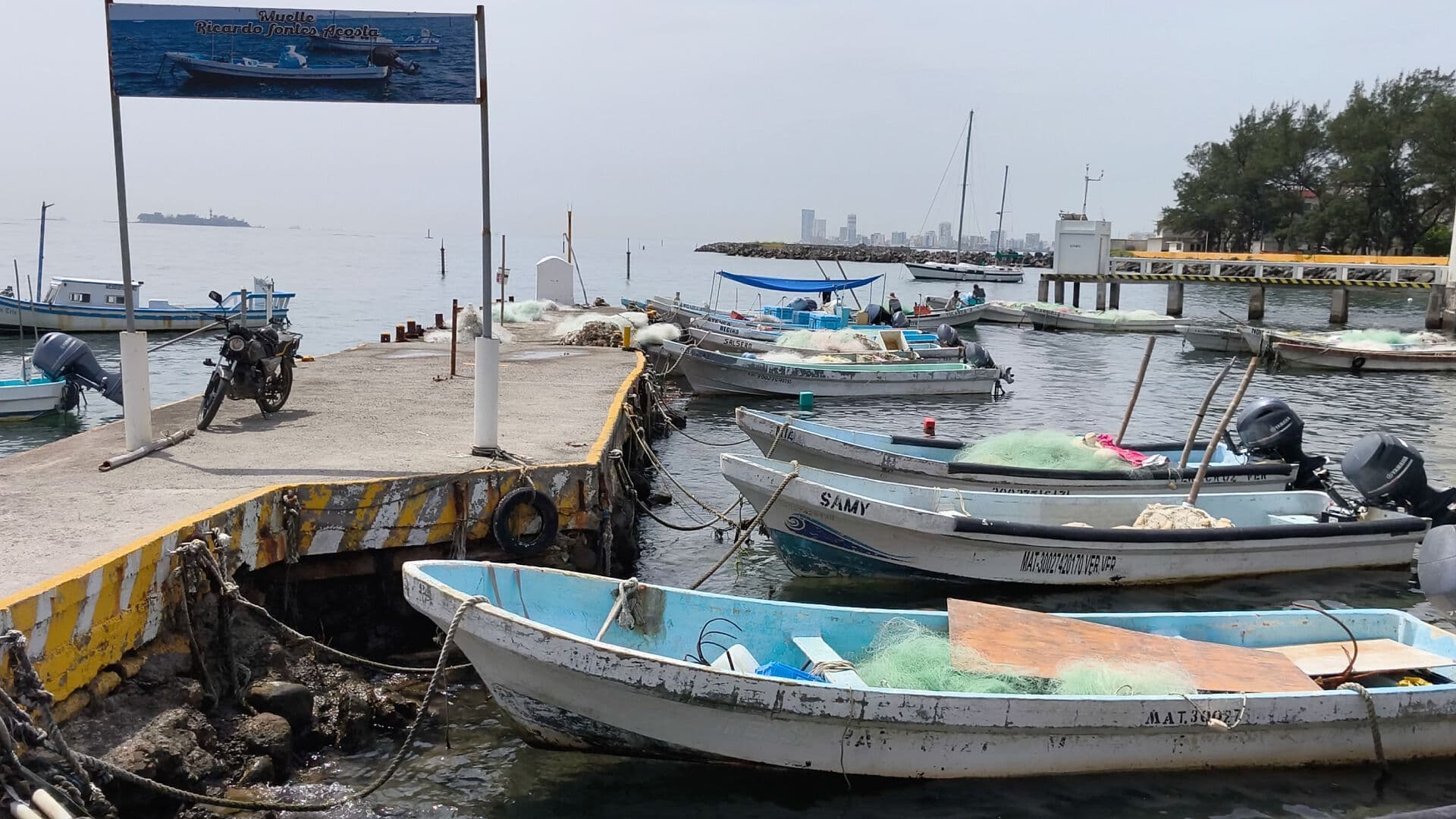 CONAPESCA Extiende la Veda de Camarón en Veracruz y Tamaulipas