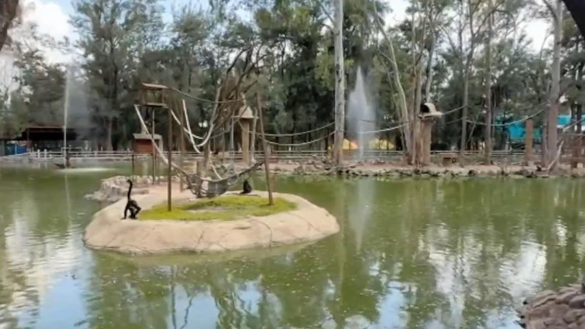 Zoológico de León Busca Subsidio de 10 Millones de Pesos