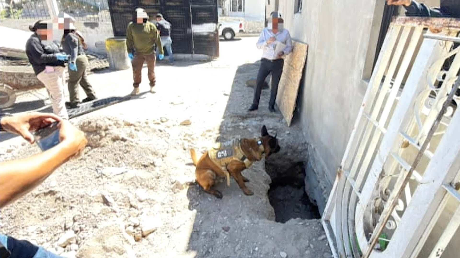 Localizan Tres Cuerpos Inhumados Tras Cateo en Vivienda de Ciudad Juárez