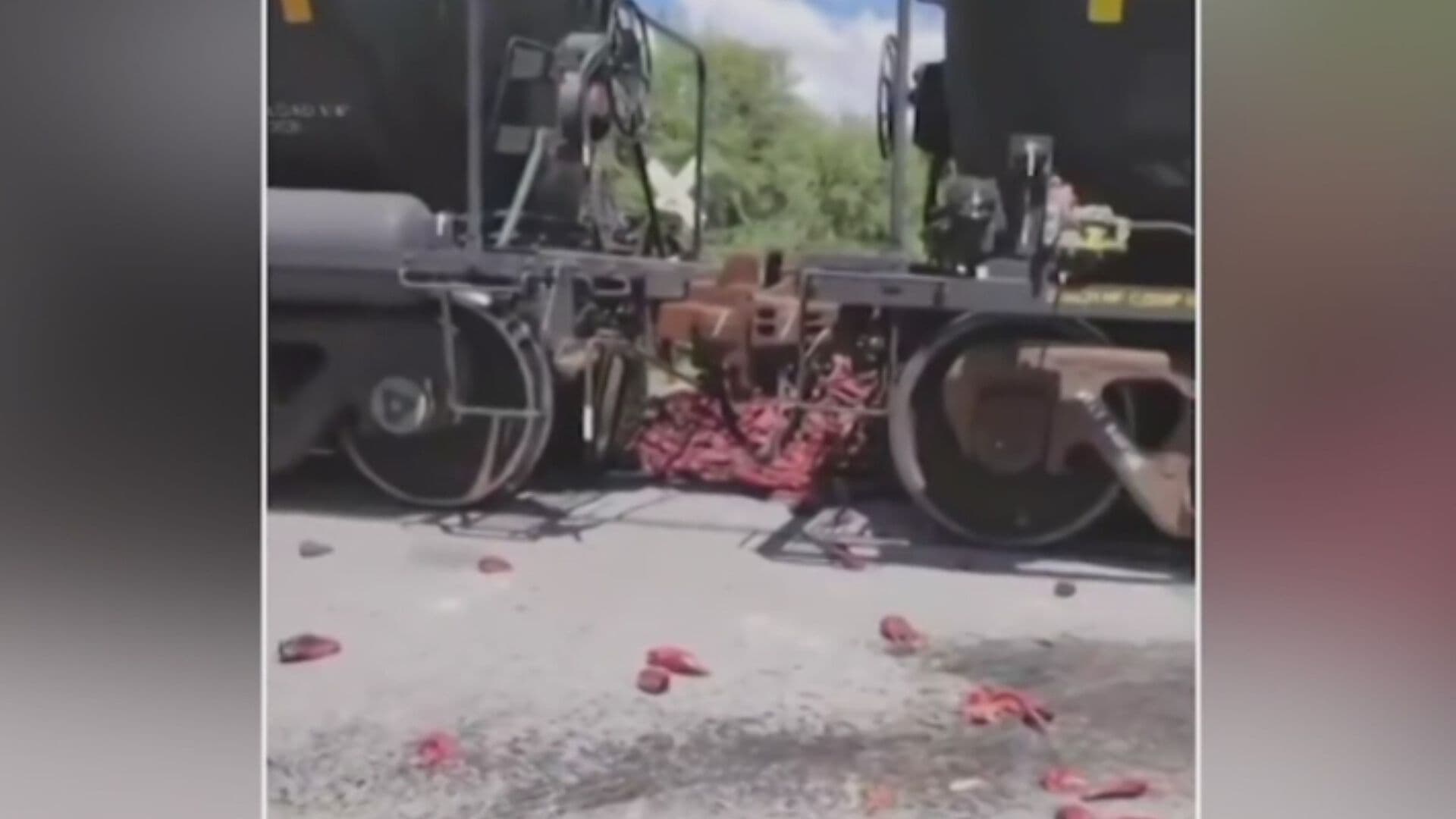 Tren Embiste Camión en San Luis Potosí y Cientos de Chiles Quedan Regados