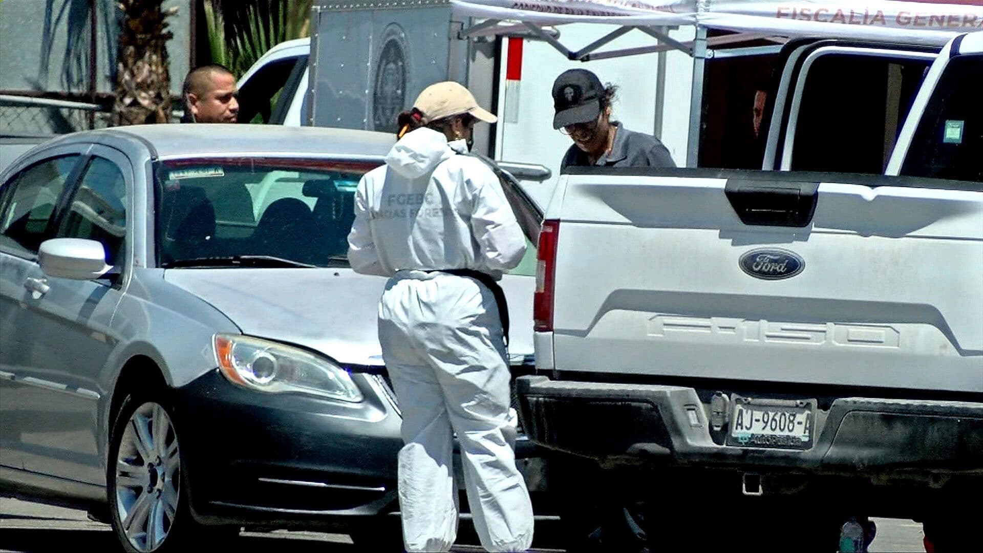 Suman Seis Cuerpos Localizados en Cajuelas de Autos en Tijuana