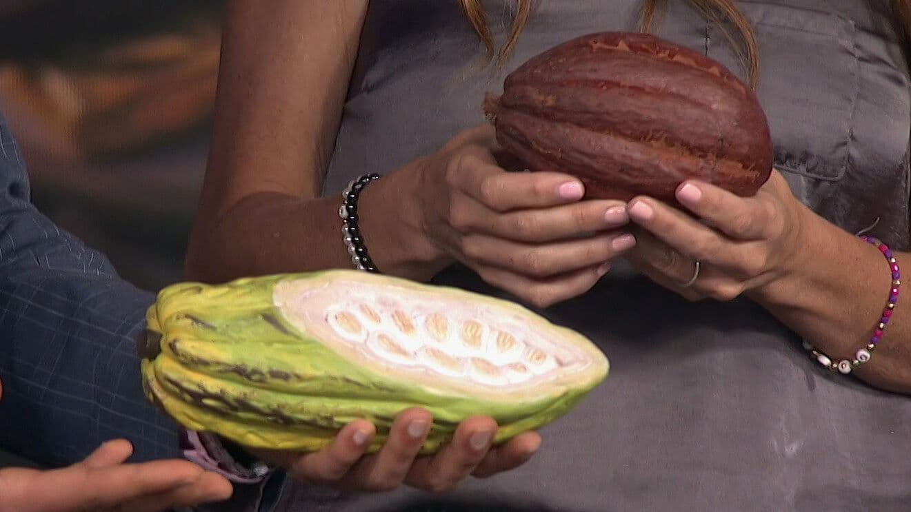 El Chocolate Mejora el Humor y Tiene Todos Estos Grandes Beneficios por sus Nutrientes