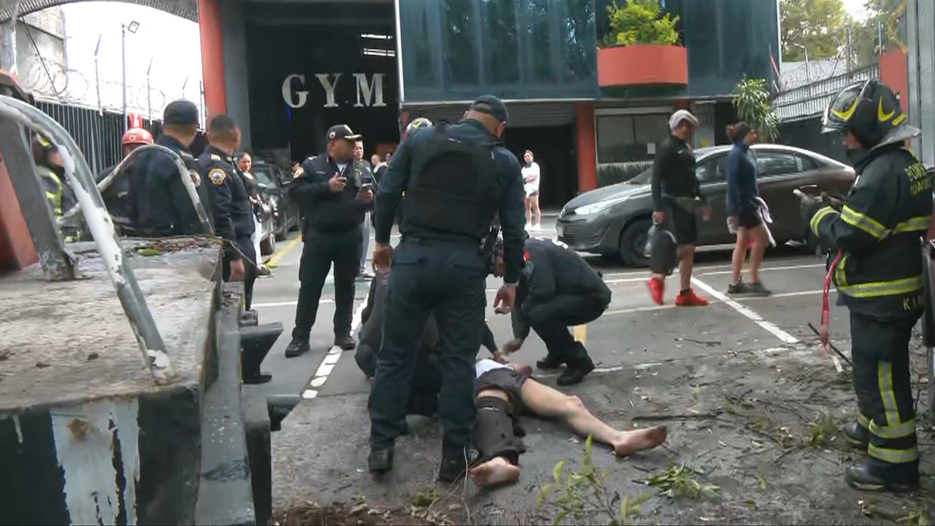 Momento del Rescate de Hombre que Trepó Gran Árbol en Xochimilco, CDMX