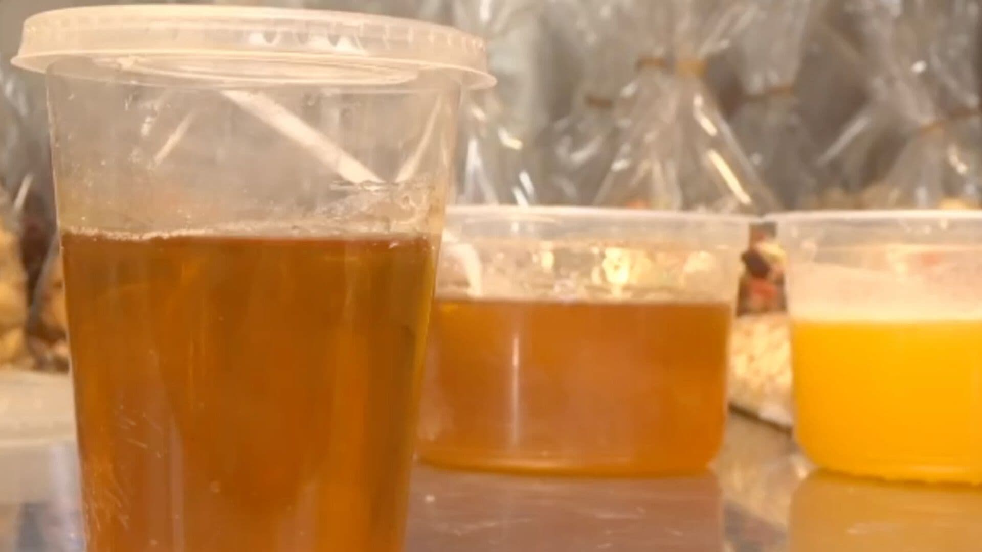 Buscan Sancionar a Quienes Vendan Miel Adulterada en Guanajuato