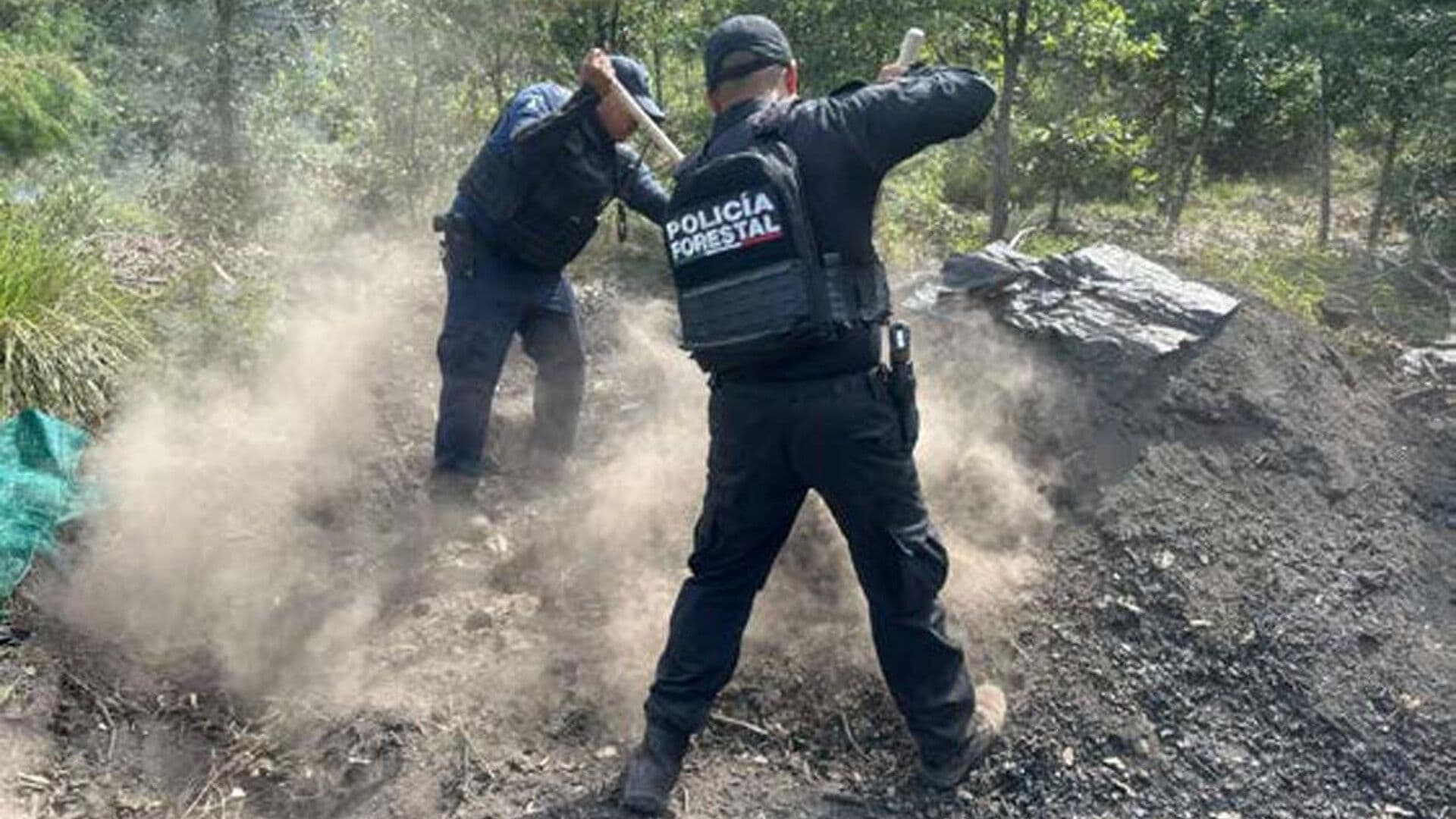 Cinco Hornos Clandestinos Madera Inhabilitados San Miguel Espejo Puebla