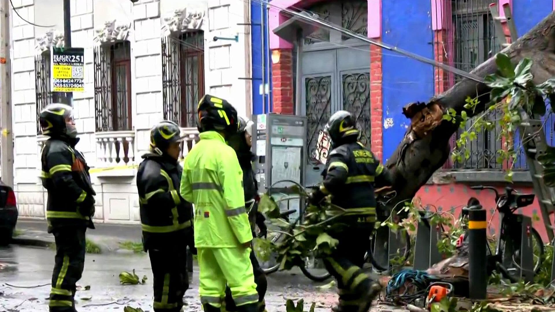 Árbol Cae en Santa María la Ribera, Cuauhtémoc, tras Fuertes Lluvias