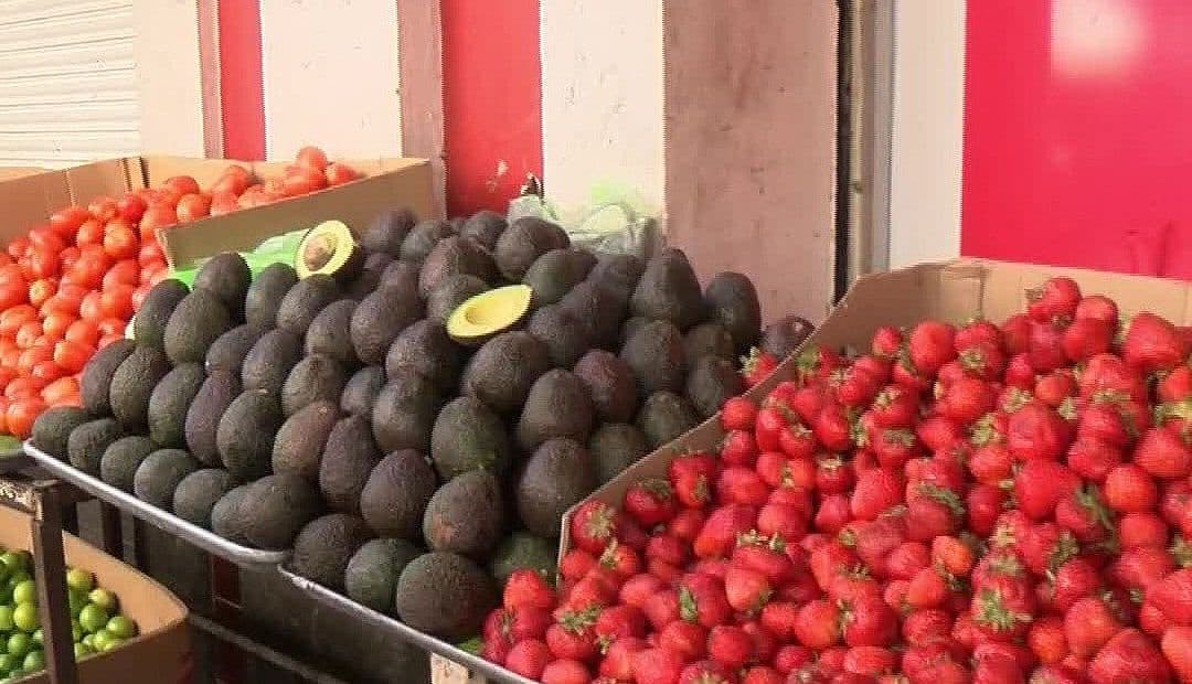 Lluvias Elevan Frutas y Verduras en Guadalajara; Jitomate Sube a 30 Pesos el Kilo
