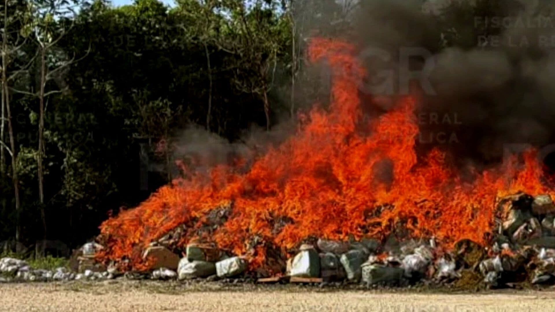 FGR Incinera más de 184 Kilos de Drogas y Destruye 806 Objetos en Isla Mujeres