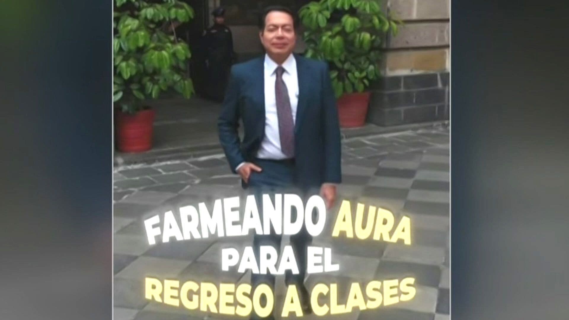 Titular de la SEP, Mario Delgado, Hace su Propia Versión de ‘Farmear Aura’