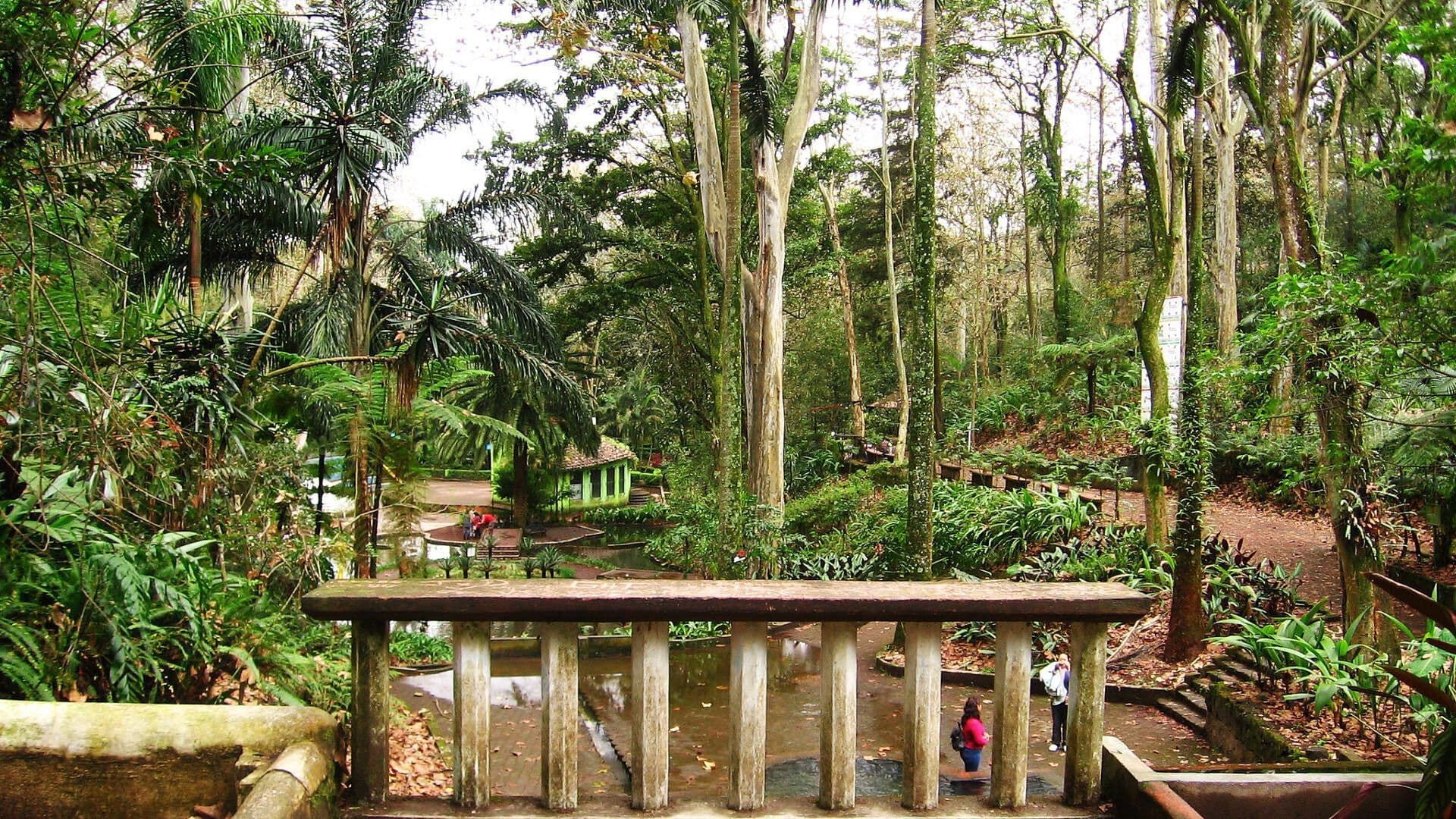 Descubre el Parque de Los Tecajetes, un Pulmón Verde en Xalapa