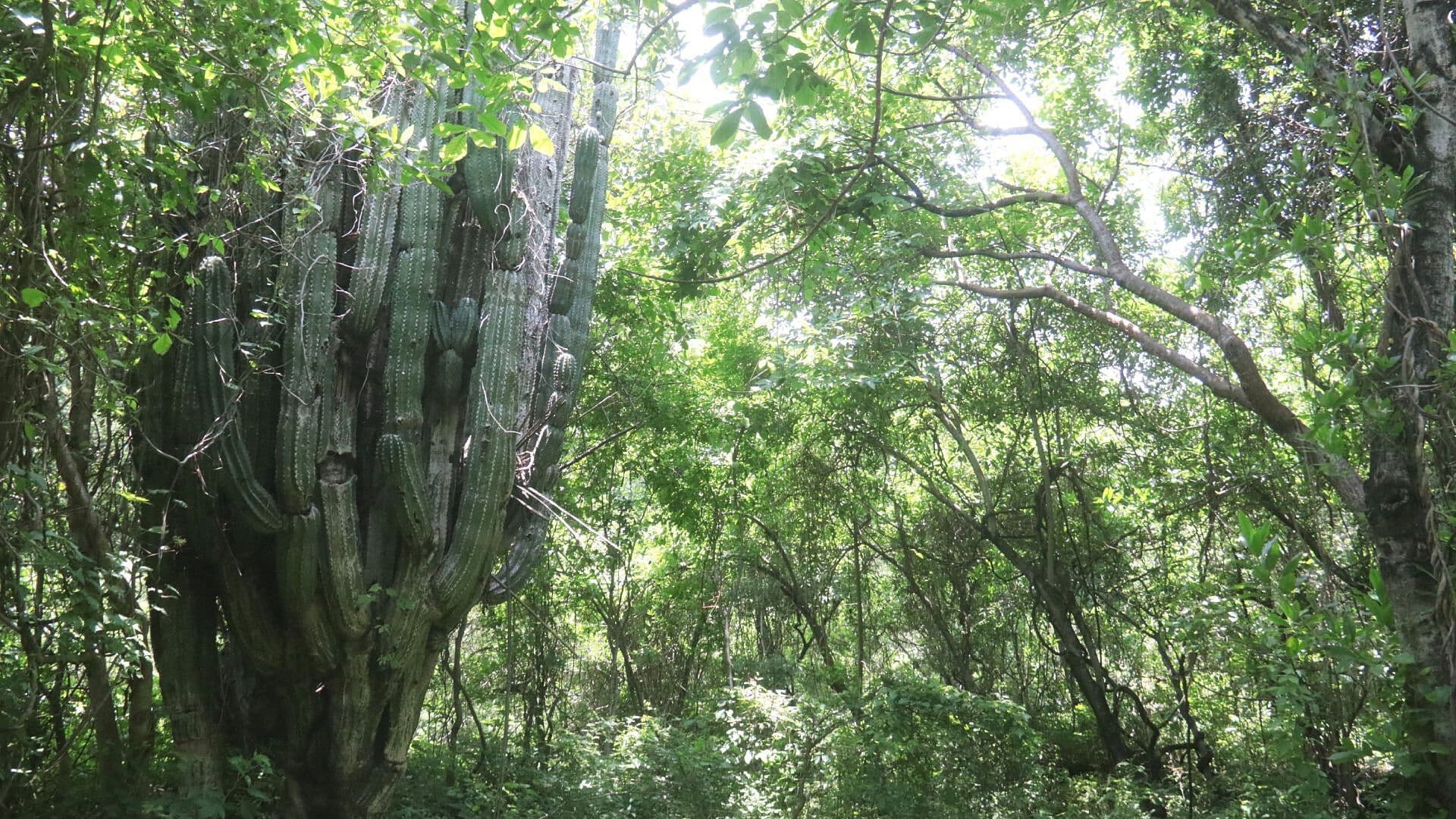 Esta es la Riqueza Natural que Tiene México