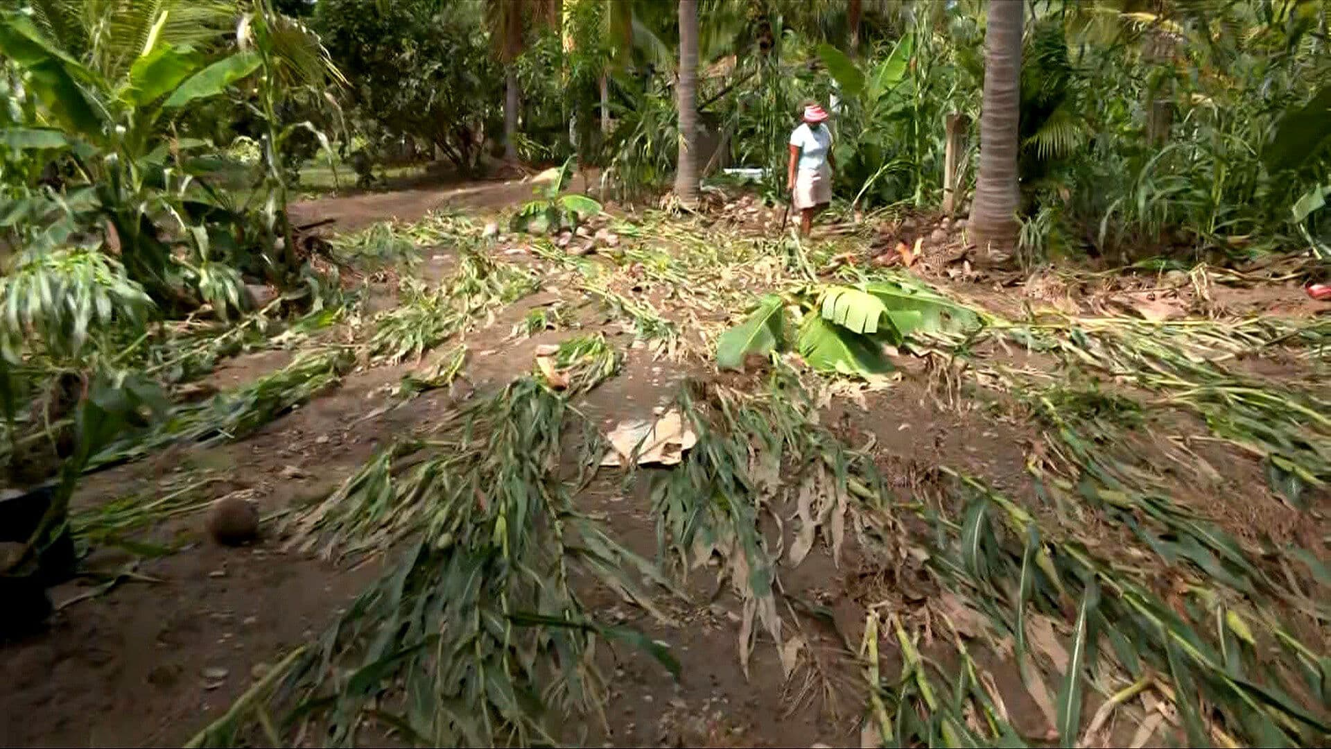 Desbordamiento de Arroyo Deja Afectaciones en Viviendas de Coyuca de Benítez, Guerrero
