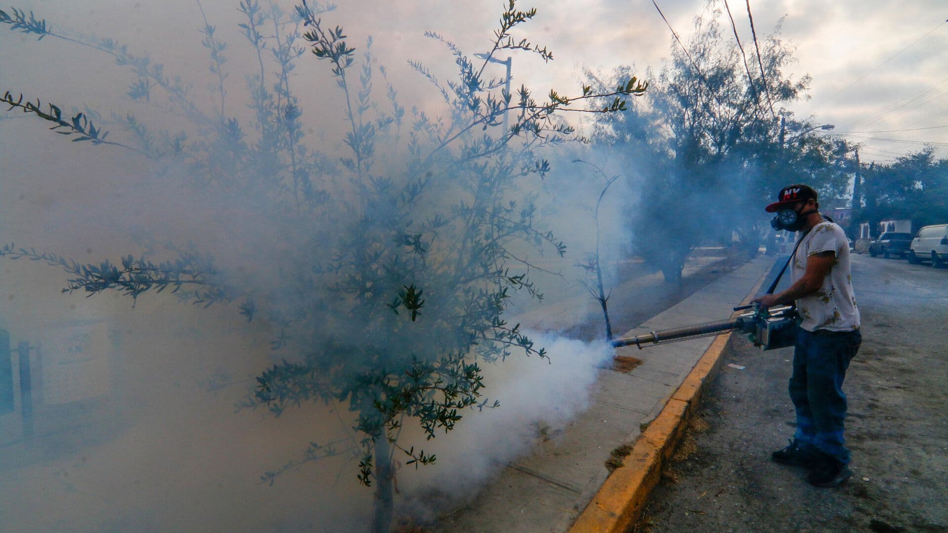 Oaxaca Refuerza Acciones Contra Enfermedades Transmitidas por Vectores