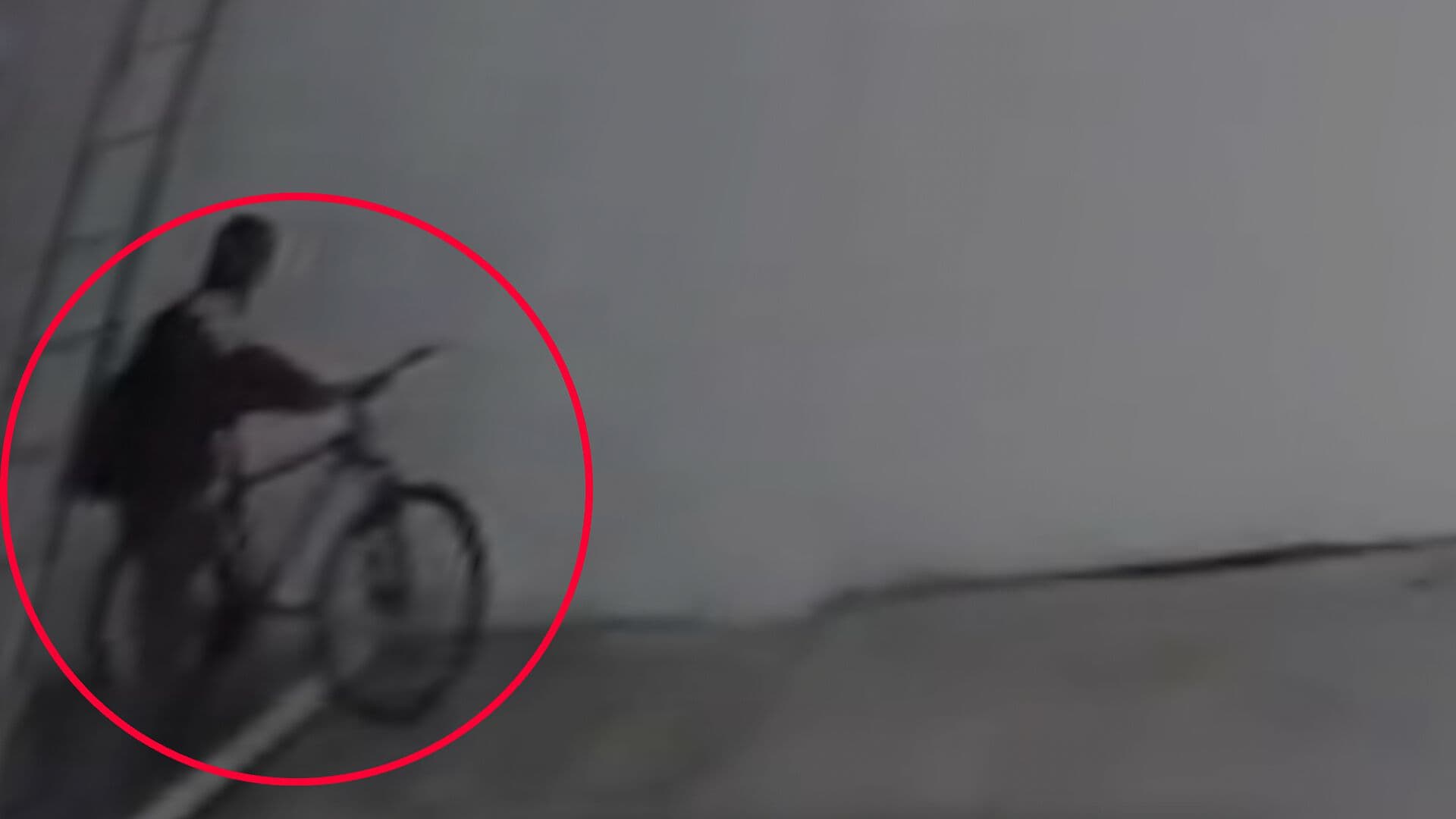 Video Ladrón Robo de Bicicleta en Vivienda de San Felipe Hueyotlipan Puebla