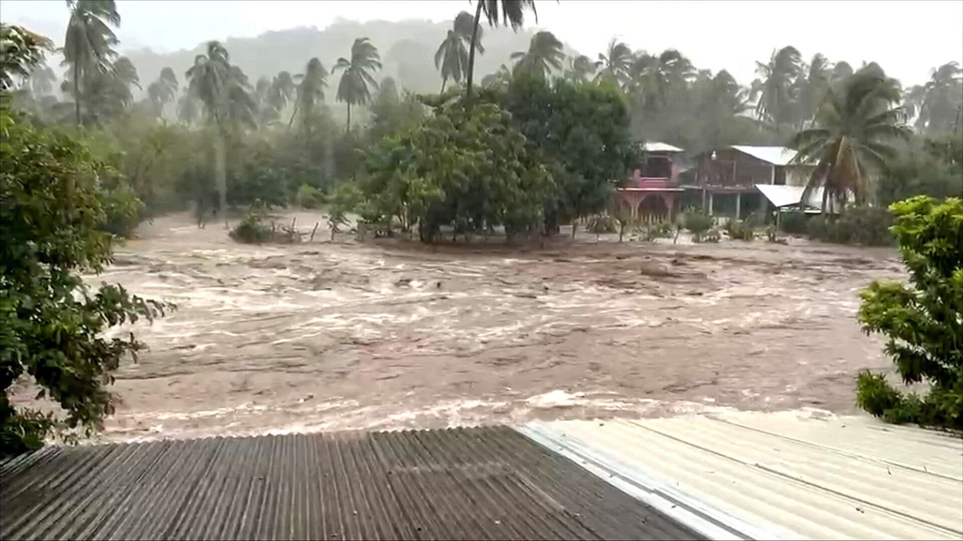 Lluvias Arrasan con Cultivos y Animales en Coyuca de Benítez, Guerrero
