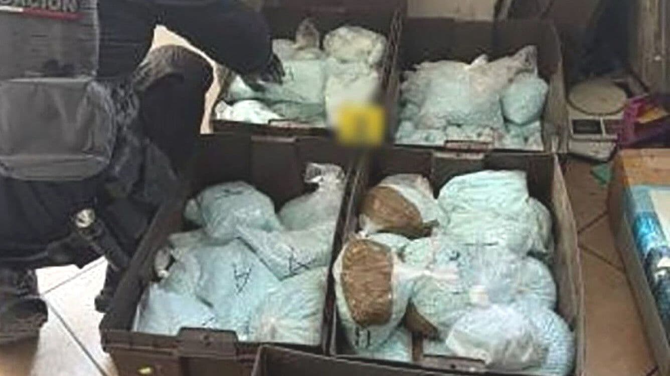 Bajan Muertes por Fentanilo en EUA, la Droga 100 Veces Más Potente que la Morfina