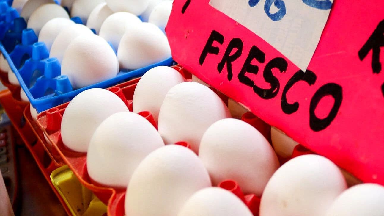 Precio del Huevo Aumenta en México: Comerciantes Advierten que Podría Llegar hasta 45 Pesos