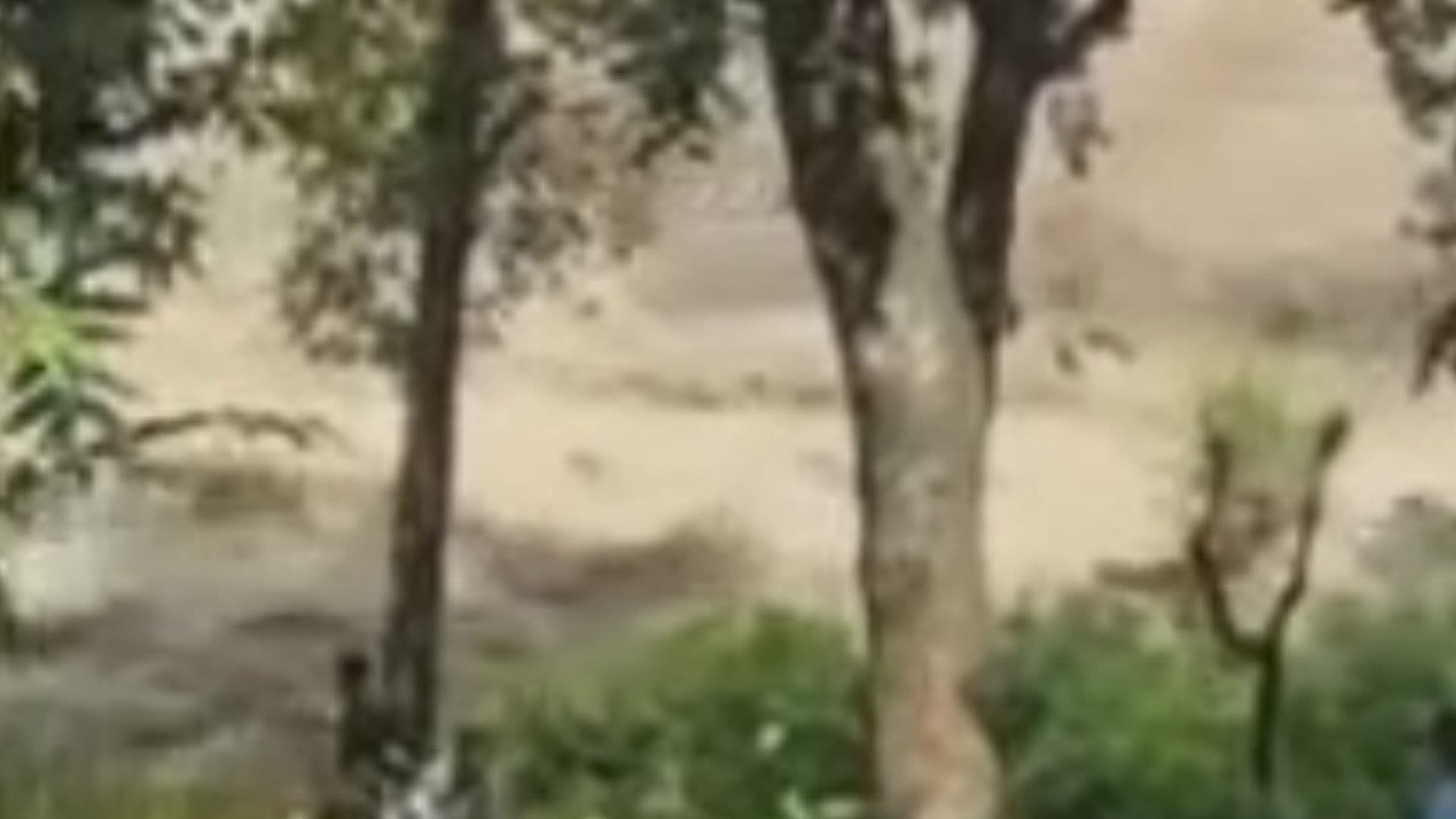 Video: Entre Gritos, Pobladores Corren para Escapar de la Riada en Nepal