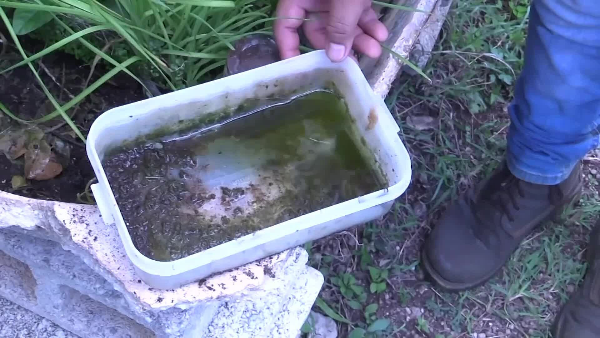 SLP Registra 22 Casos de Dengue y Ninguna Defunción en 2026