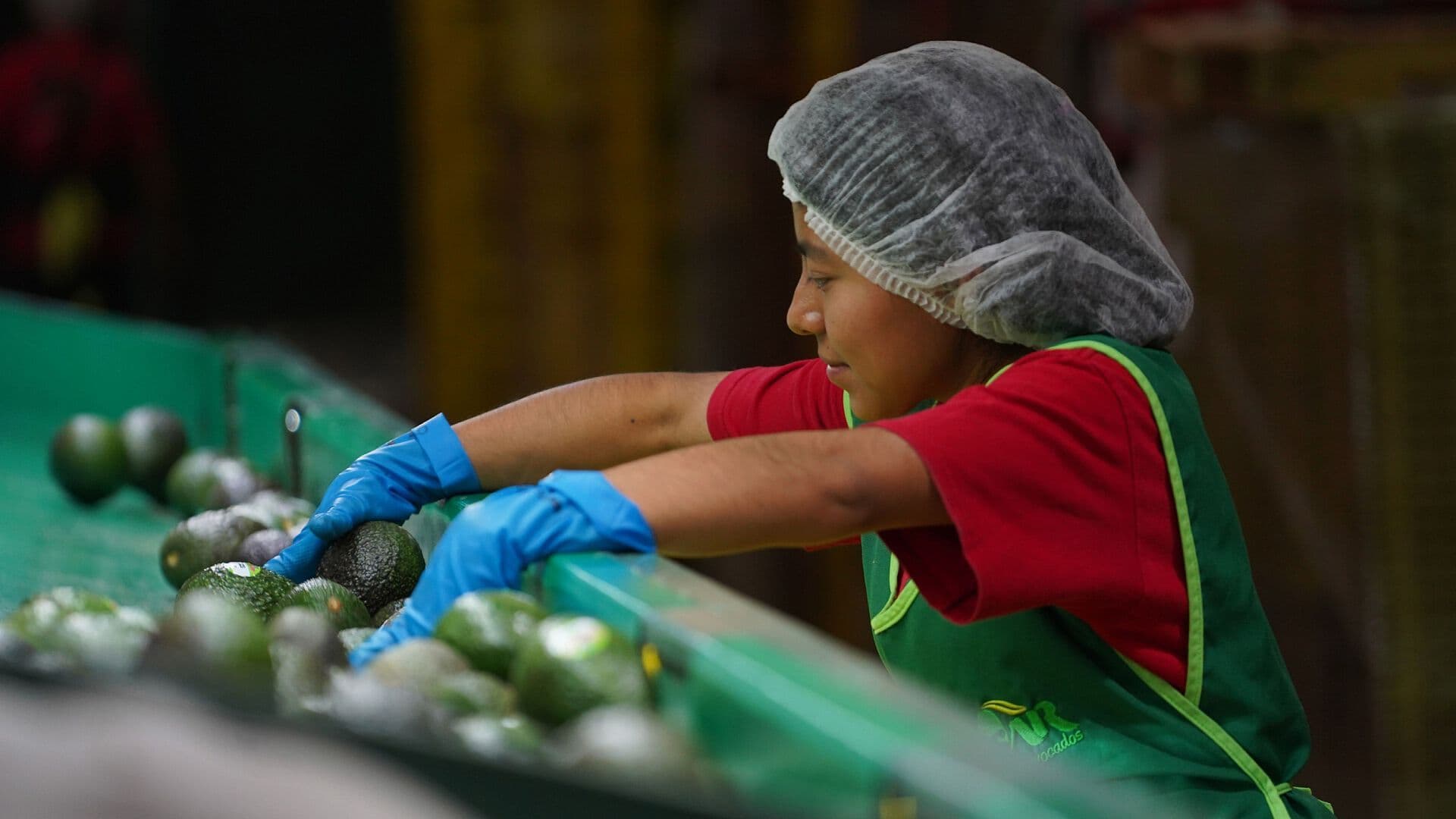 INEGI Revela Resultados de la Encuesta Nacional de Ocupación y Empleo 2026