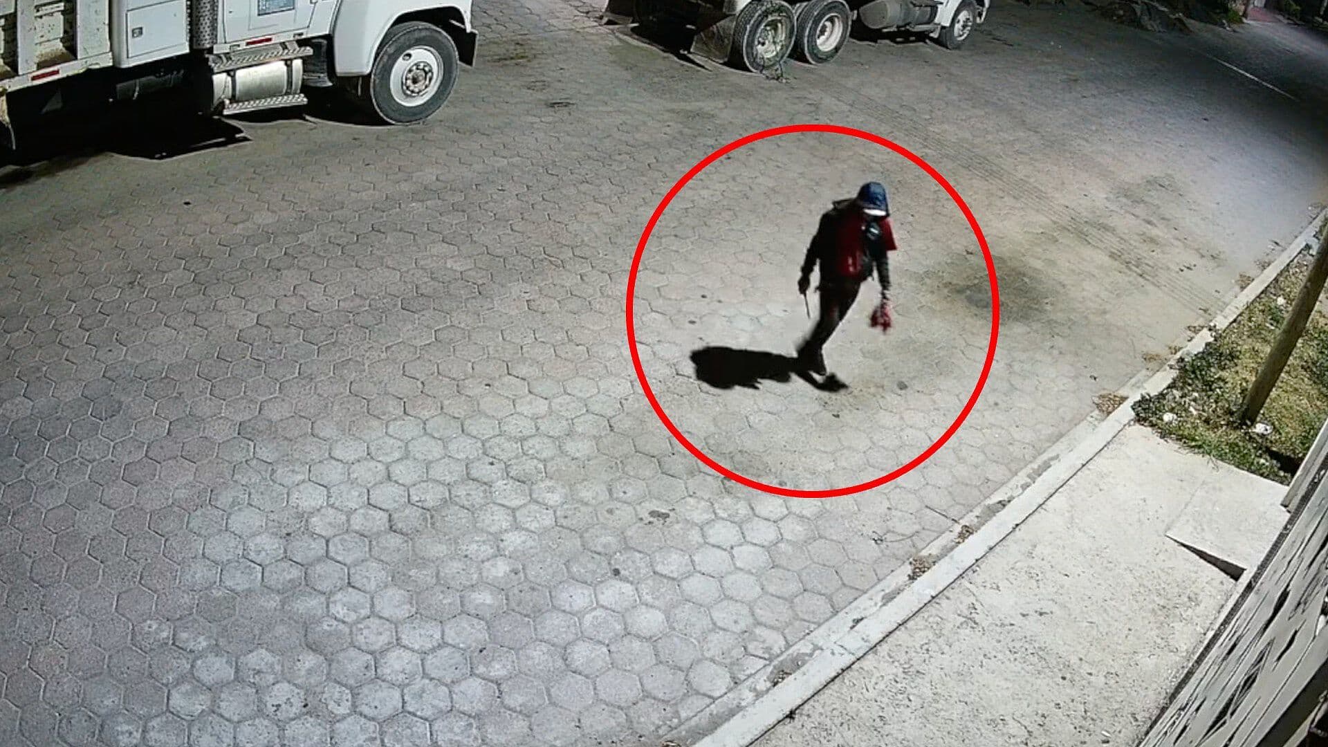 Video Intento Robo Invasión Negocio con Barrotes en Barrio San Sebastián Tepeaca Puebla