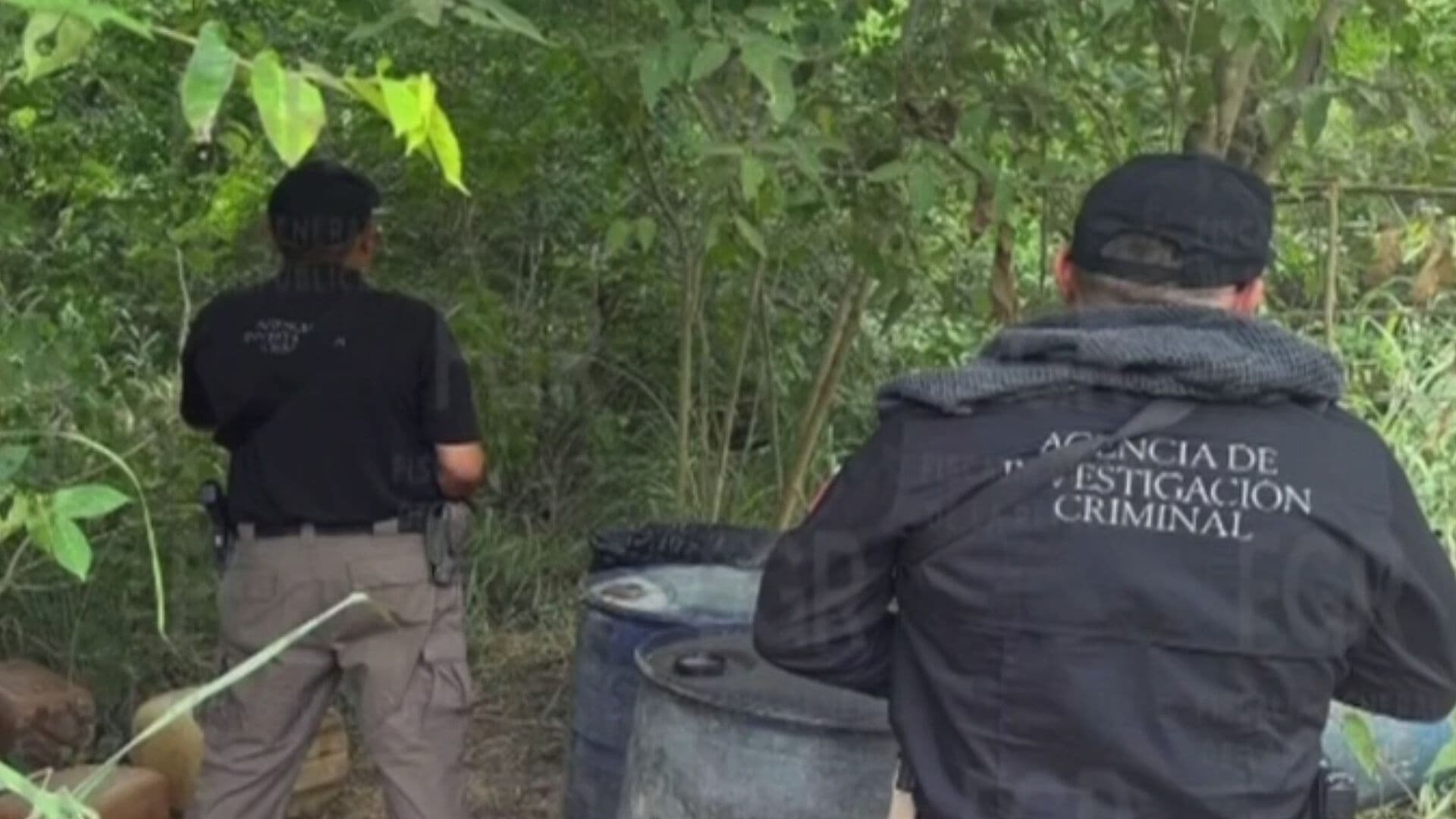 Golpe al Huachicol: Aseguran Mil 500 Litros de Hidrocarburo en Pánuco, Veracruz