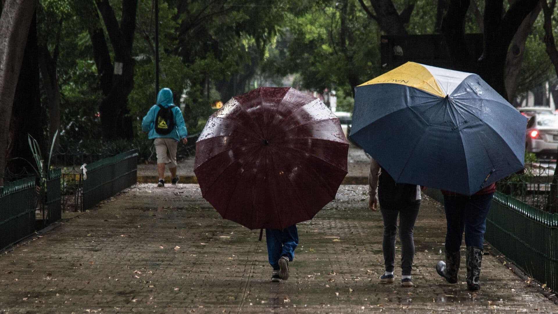 Activan Doble Alerta por Lluvias en CDMX: Tormenta Afecta Topilejo