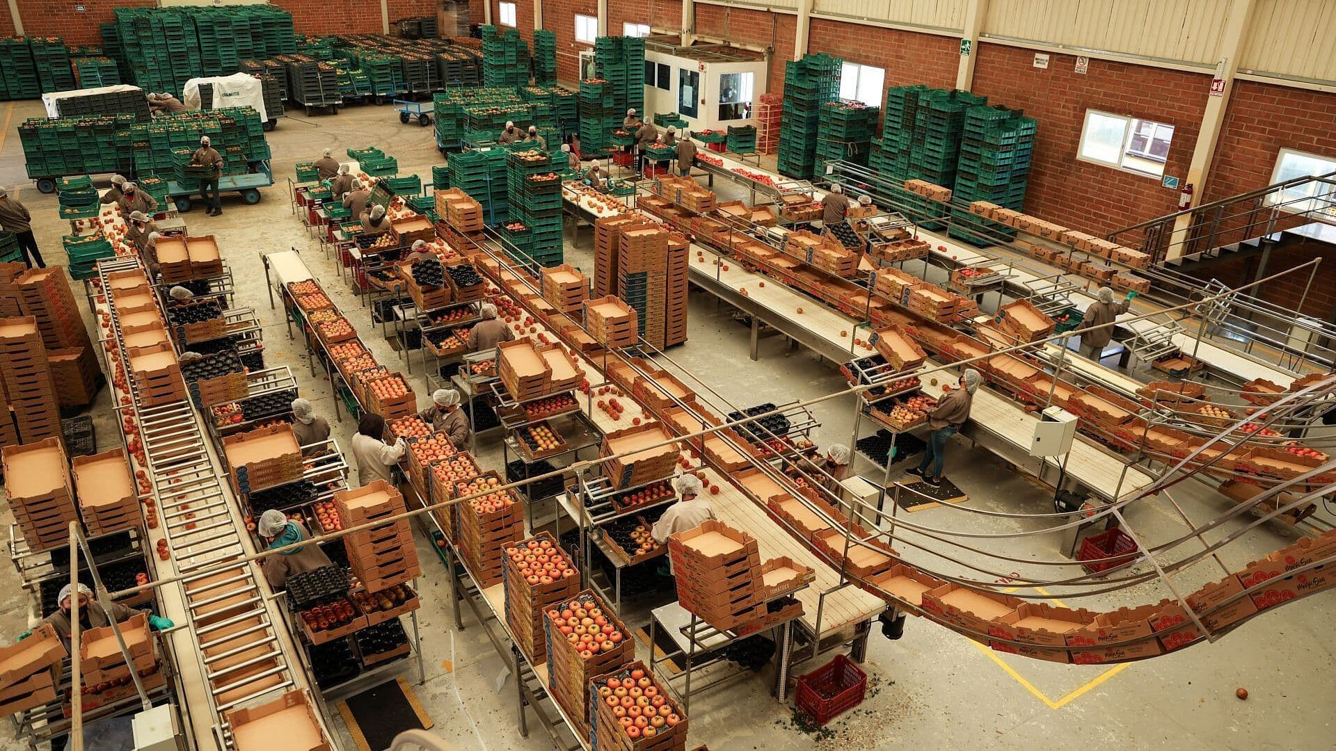 Exportaciones de México Alcanzan Nivel Récord en Julio: Incrementaron un 43.7%