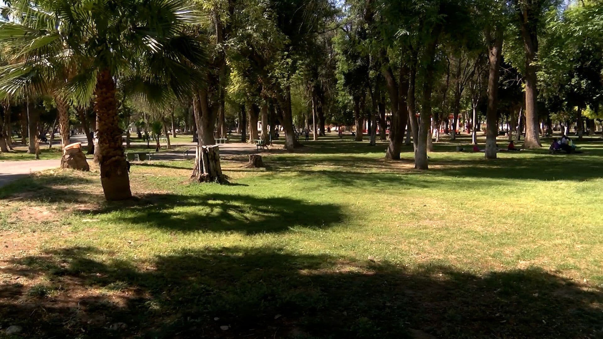 Propone Concepto de 'Ciudades Esponja' para Aprovechar el Agua en La Laguna