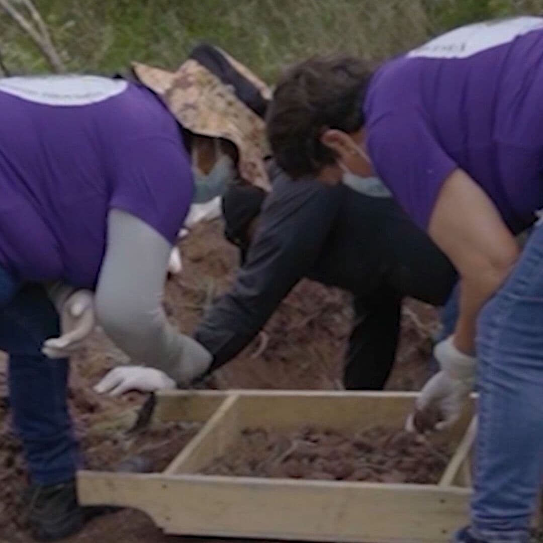 Colectivo Escarabajo. Buscando Desaparecidos