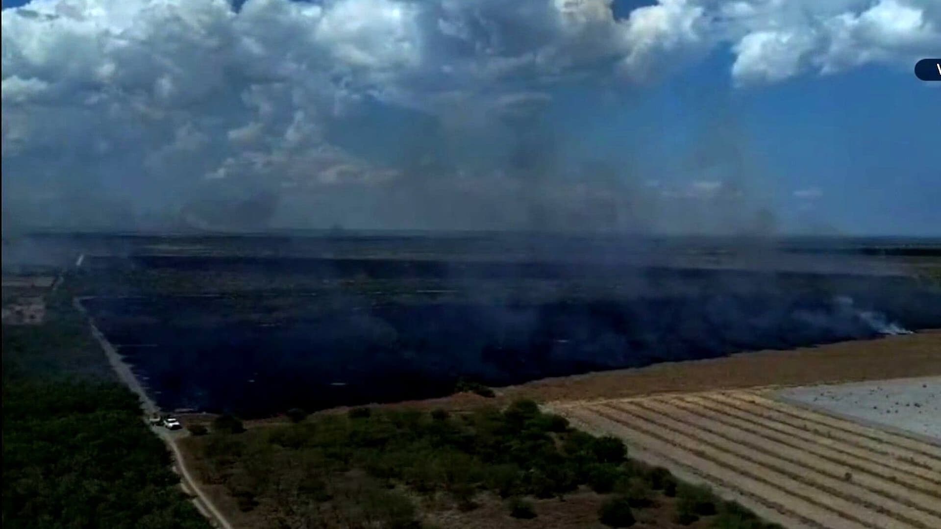 Incendio Consume Cerca de 150 Hectáreas Pastizales en Jiménez, Tamaulipas