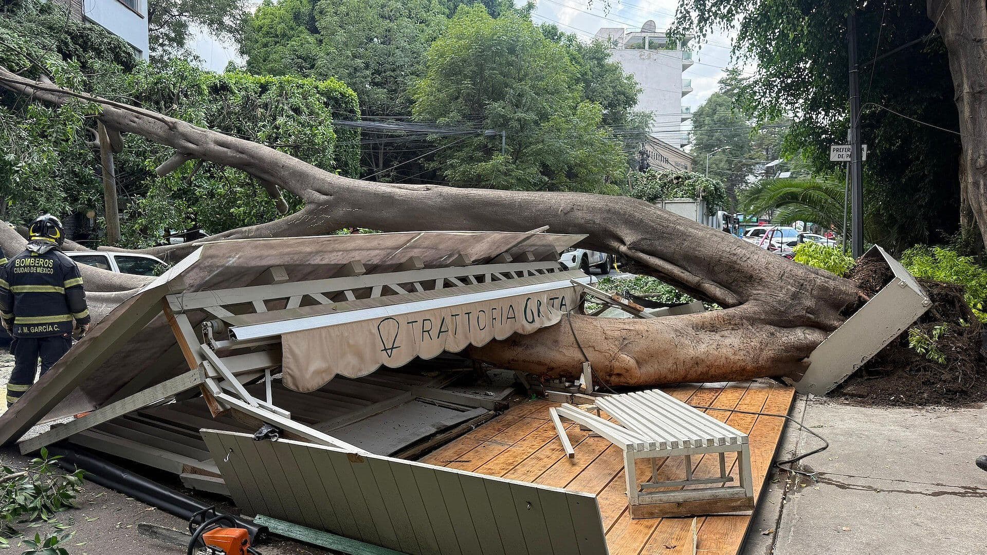 Enorme Árbol Cae sobre Restaurante, Daña un Auto y Deja una Lesionada en Polanco, CDMX