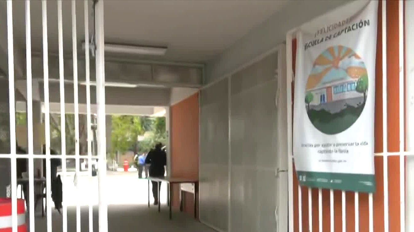 Atienden a 14 Alumnos por Picaduras de Abejorros en Secundaria de Coyoacán, CDMX