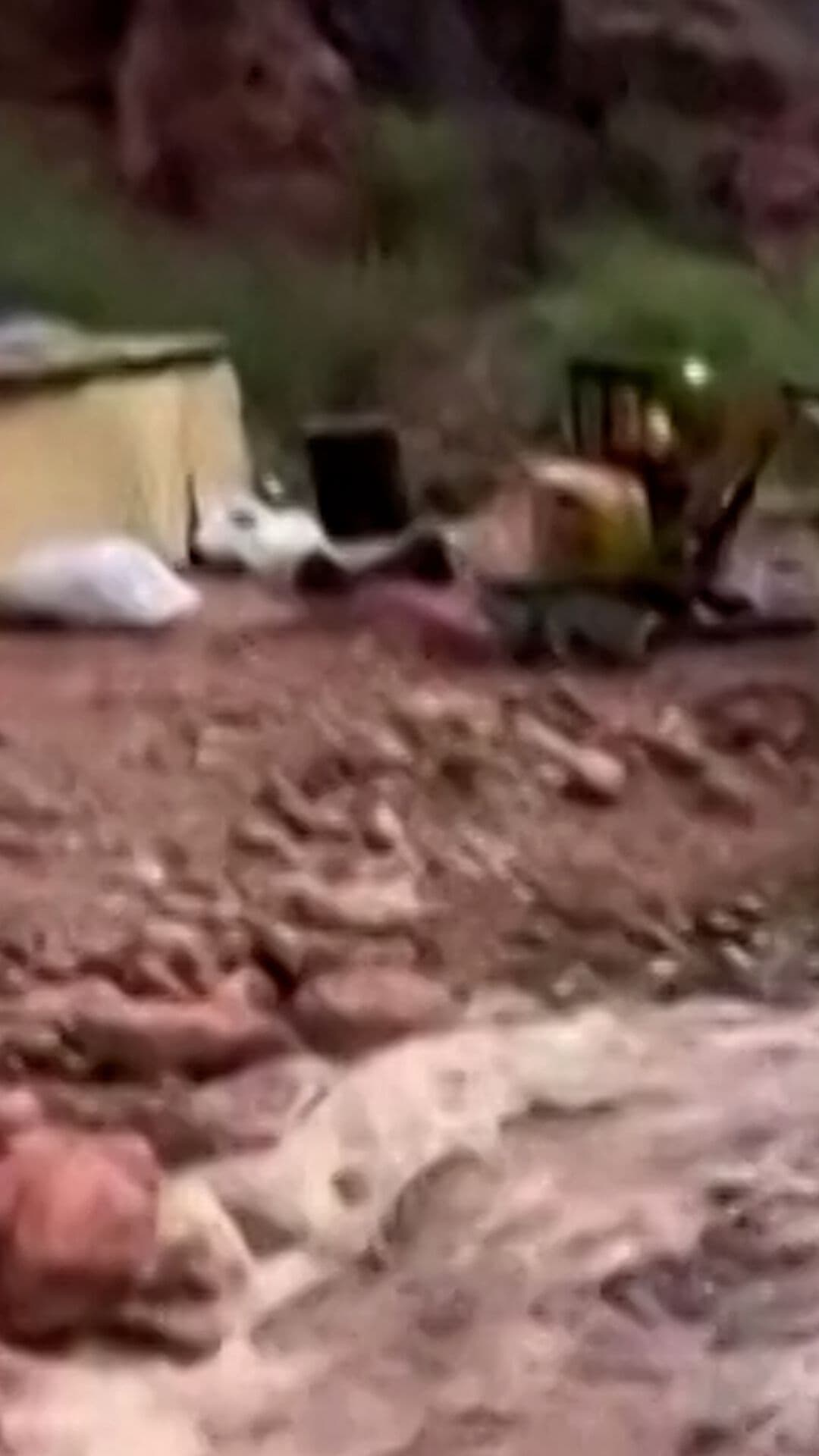Desaparecen Más de 10 Personas por Inundación Repentina en el Gran Cañón