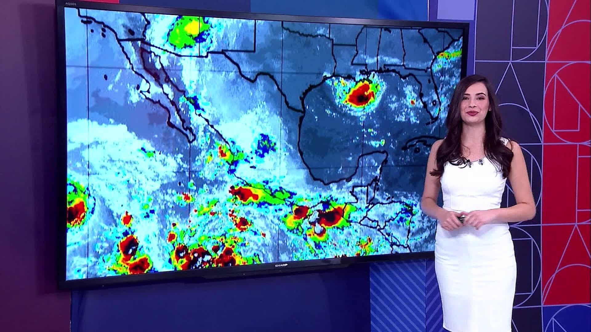 Clima en Guanajuato: Pronóstico del Tiempo con Michelle Zepeda