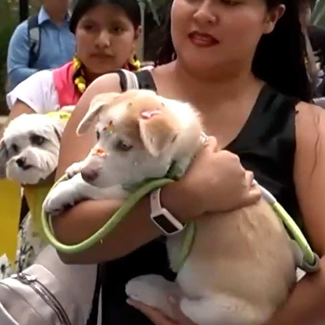 Oaxaqueños Llevan a Bendecir a Sus Mascotas