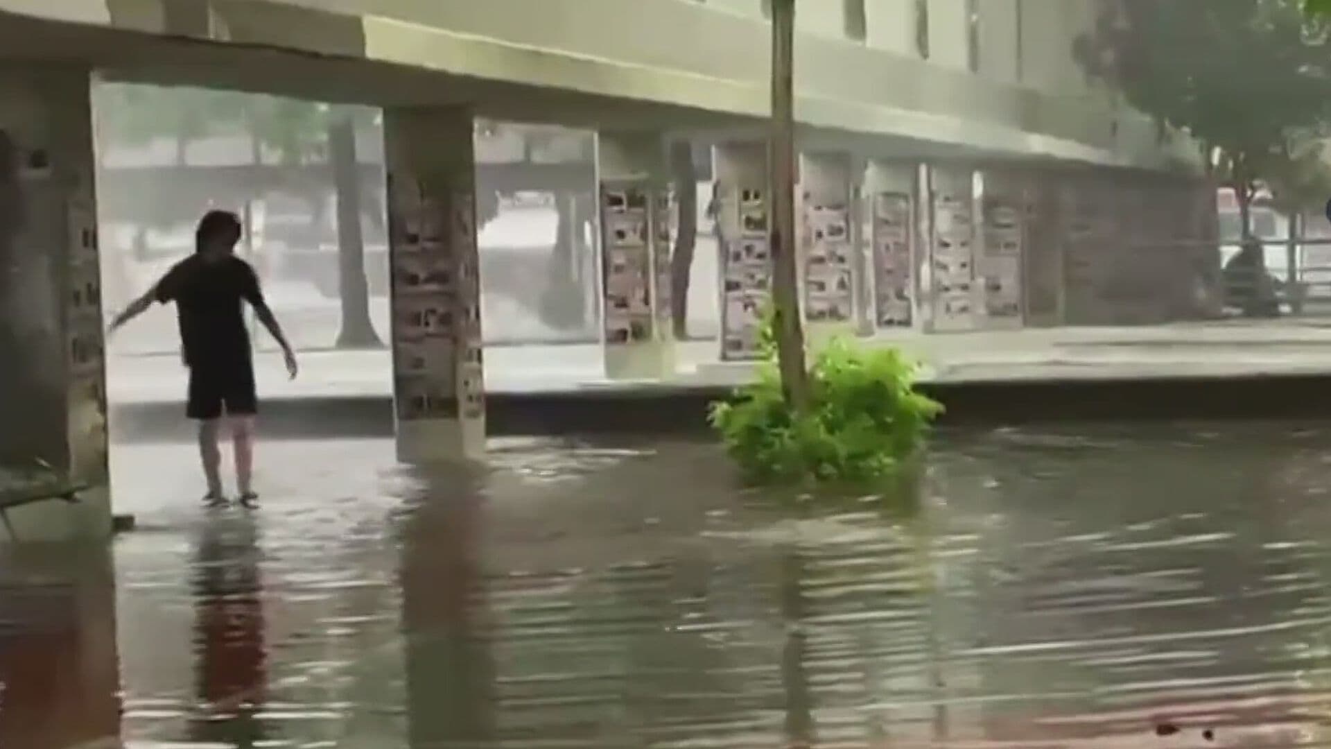 Tormenta con Vientos de 100 km/h Derriba Árboles y Causa Caos en Guadalajara