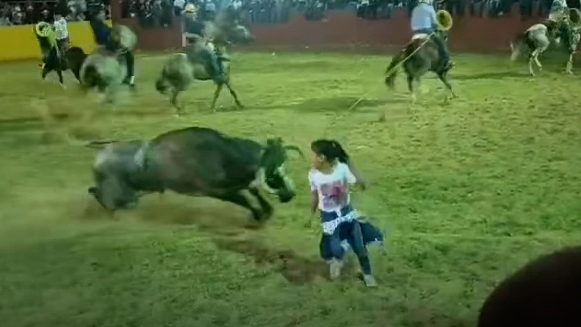 Jinetes Alejan a Toro de una Niña que Había Caído a un Ruedo