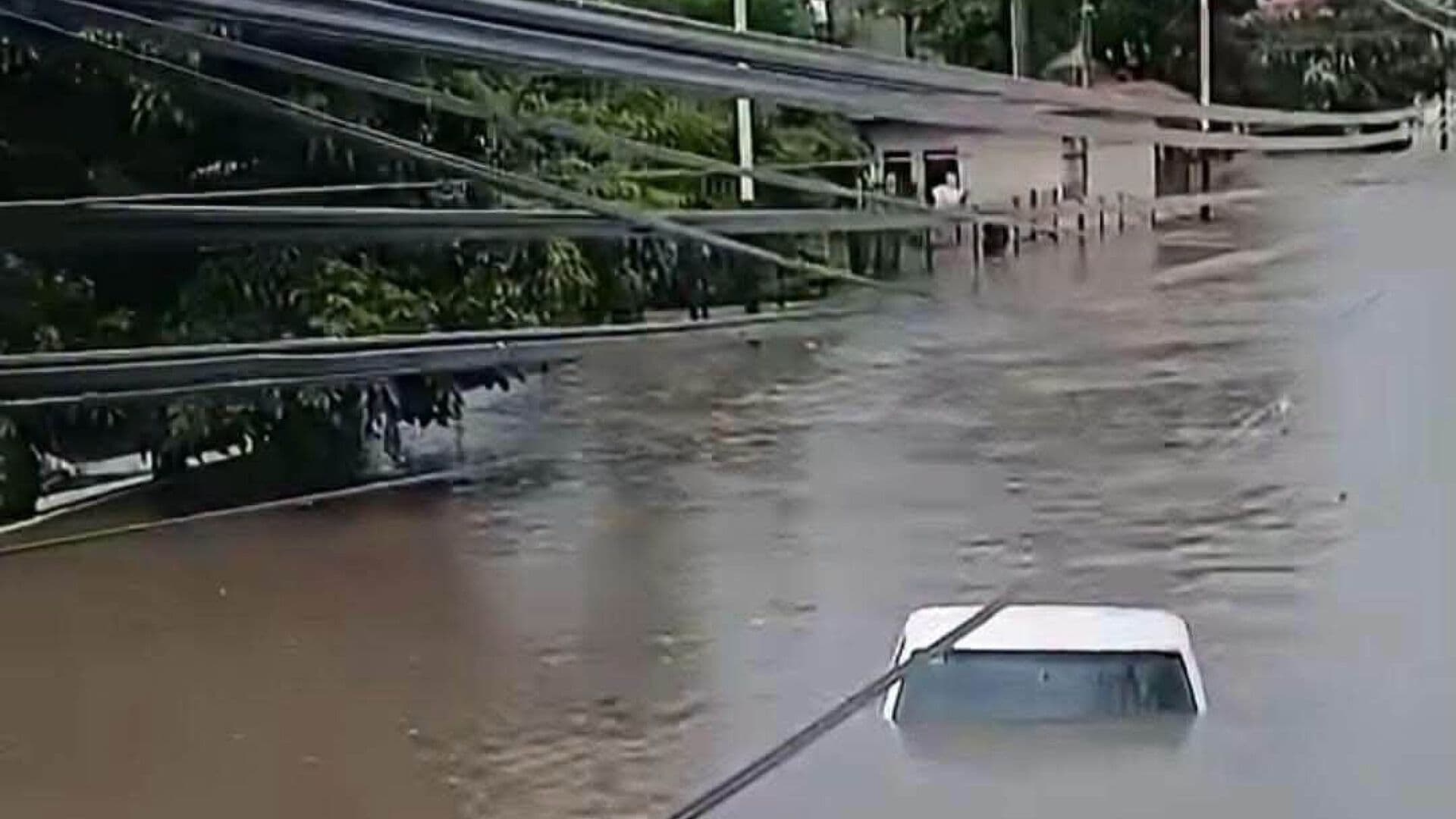 Adulta Mayor Muere Ahogada Sola en su Casa tras Inundaciones en Tepic, Nayarit