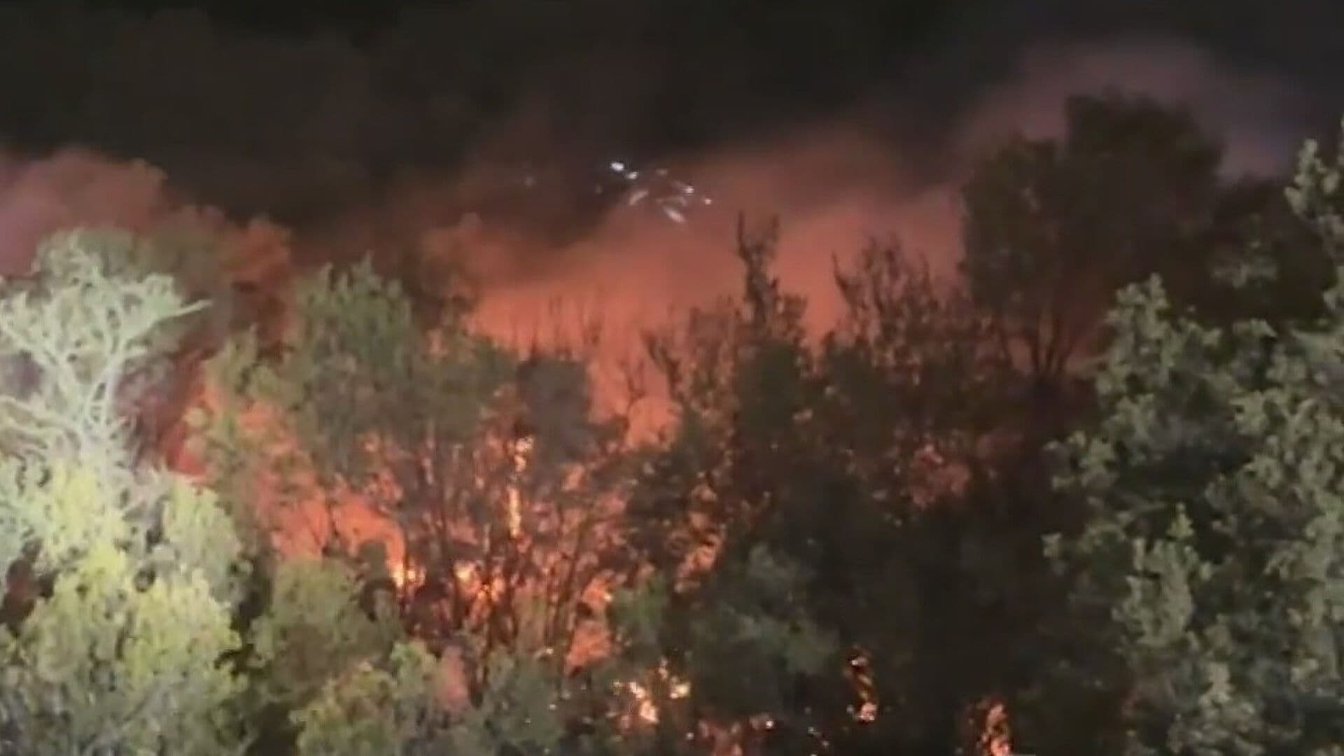 Moviliza a Bomberos Incendio en Laderas del Cerro de la Silla en Guadalupe