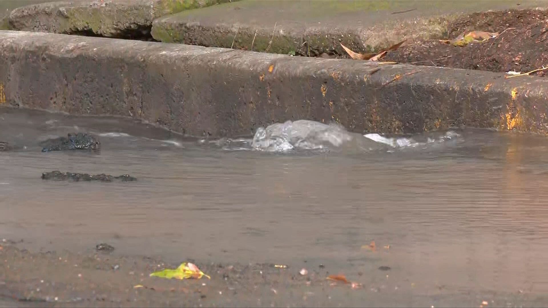Suman 10 Horas de Fuga de Agua en Coyoacán
