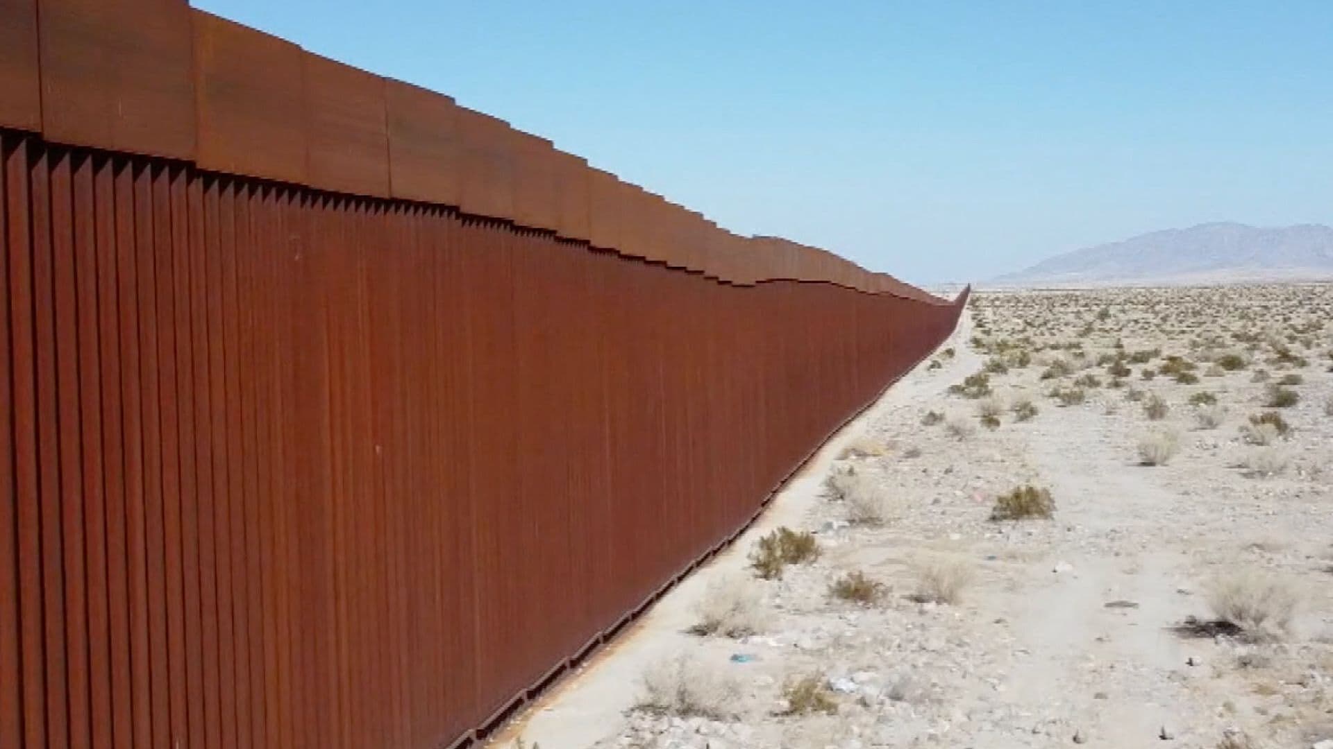 Muro Fronterizo Entre Arizona y Sonora Impacta en la Fauna Regional