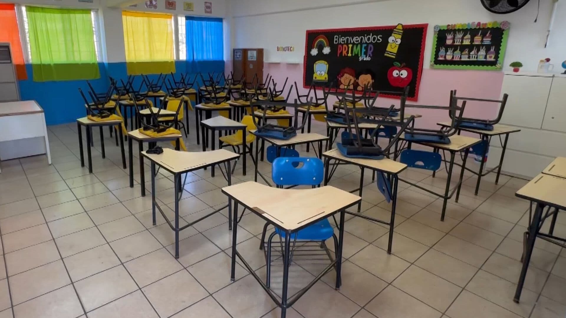 Plaga de Pulgas y Garrapatas Afecta Regreso a Clases en Primaria de Ensenada