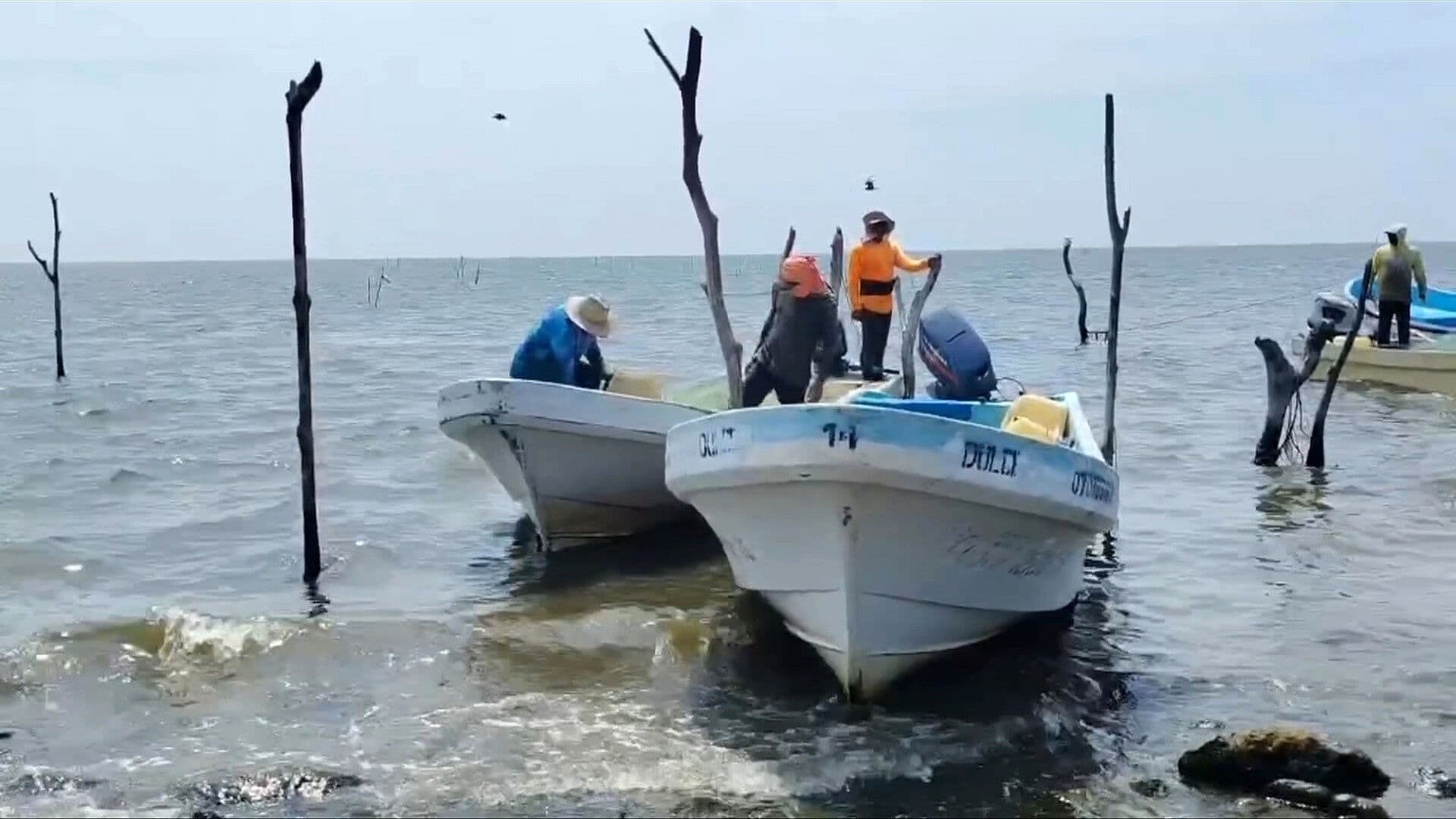 Rescatan a Dos Pescadores, Padre e Hijo, en Bahía de Paredón, Chiapas
