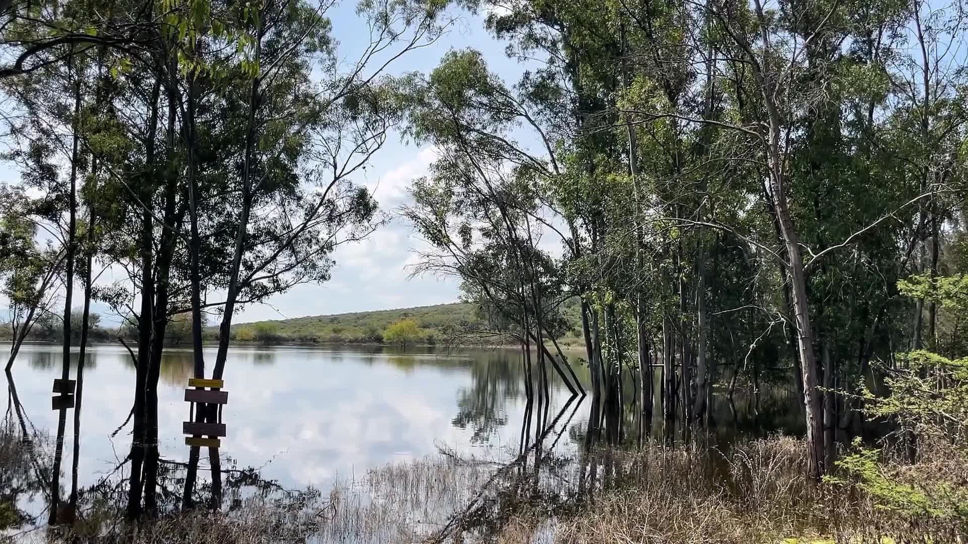 Querétaro Tendrá Nuevo Espacio para Preservar Mariposas Nativas y Migratorias
