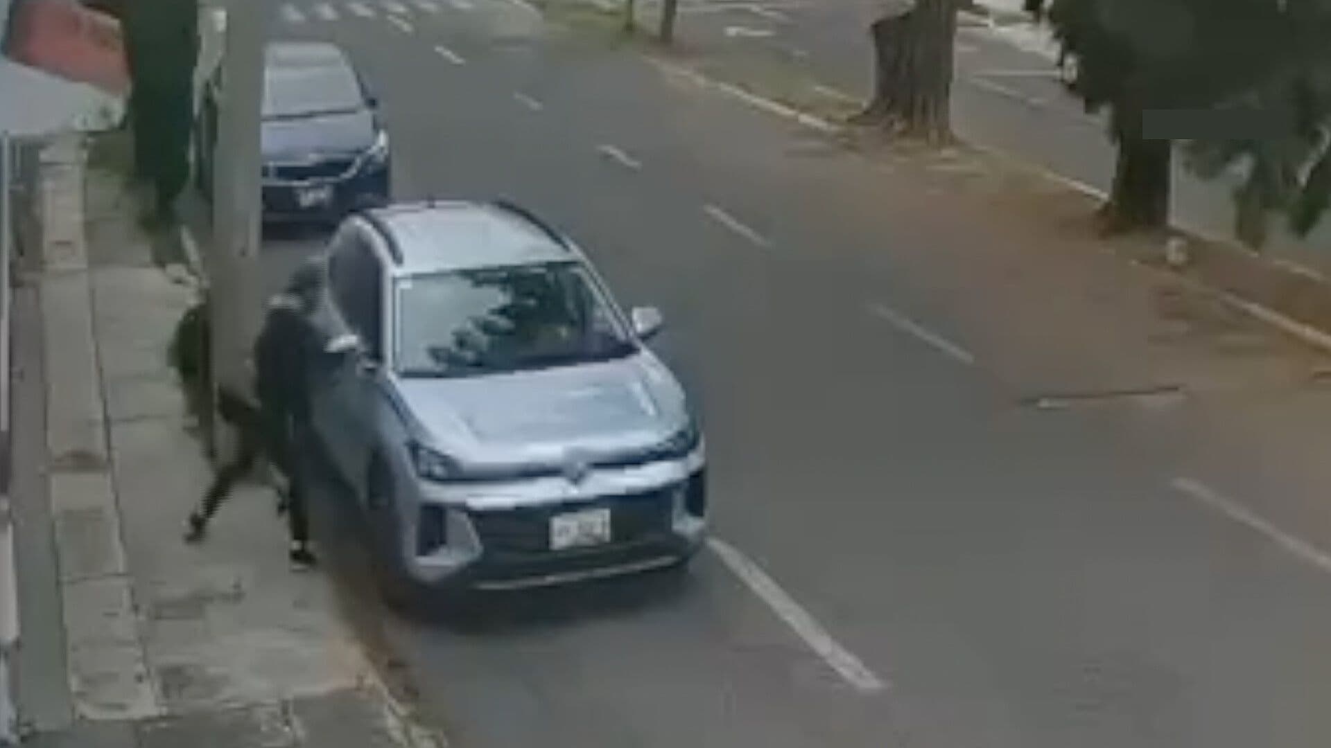 Robo Autopartes Autos Estacionados Colonia Arboledas de Guadalupe Ocote Puebla