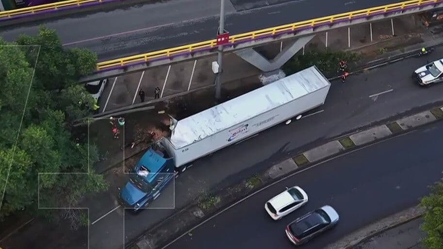 Árbol Cae sobre Tráiler y Provoca Cierre en Circuito Interior